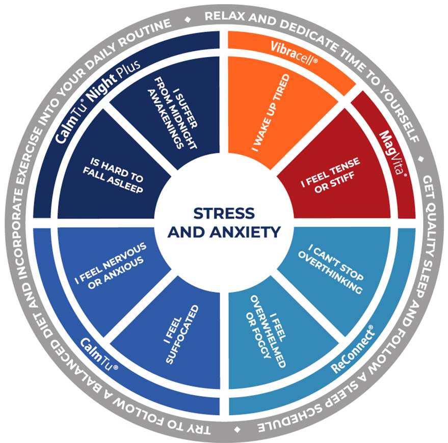 Wheel of stress and anxiety 