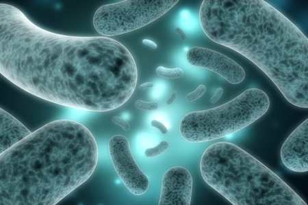 probiotics and bacterias