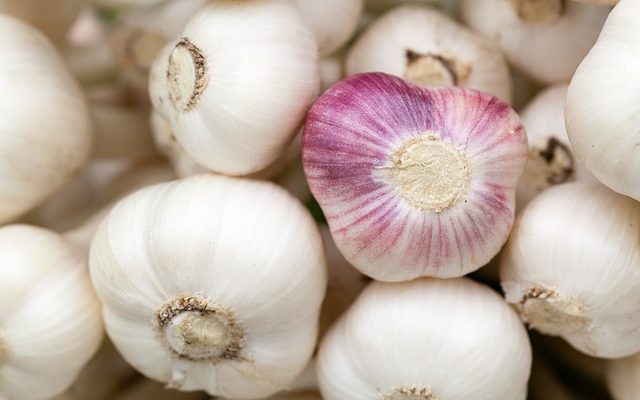 Benefits of Garlic