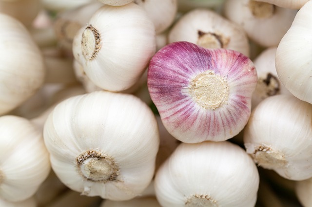 Benefits of Garlic