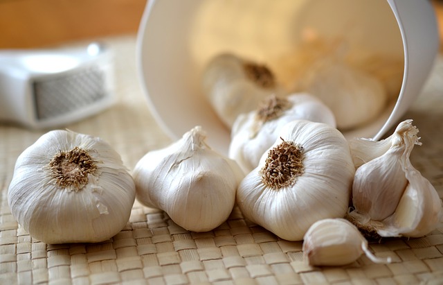 Cholesterol and aged garlic