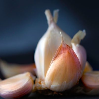 Aged garlic extract