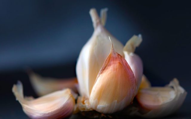 Aged garlic extract