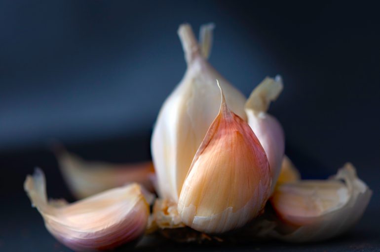 Aged garlic extract