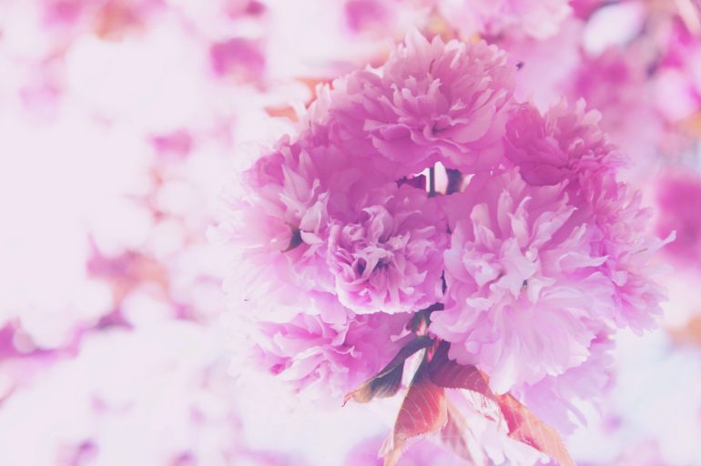 How to take care of our intestinal health