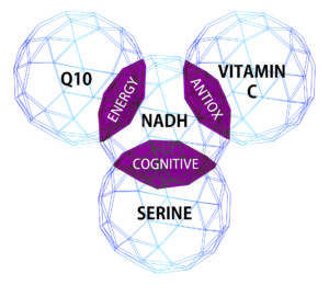 Discover the secrets of Reconnect and why it is one of our most special products