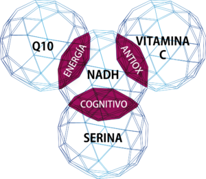 Descubre todos los secretos de Reconnect y por qué es uno de los productos más especiales de Vitae