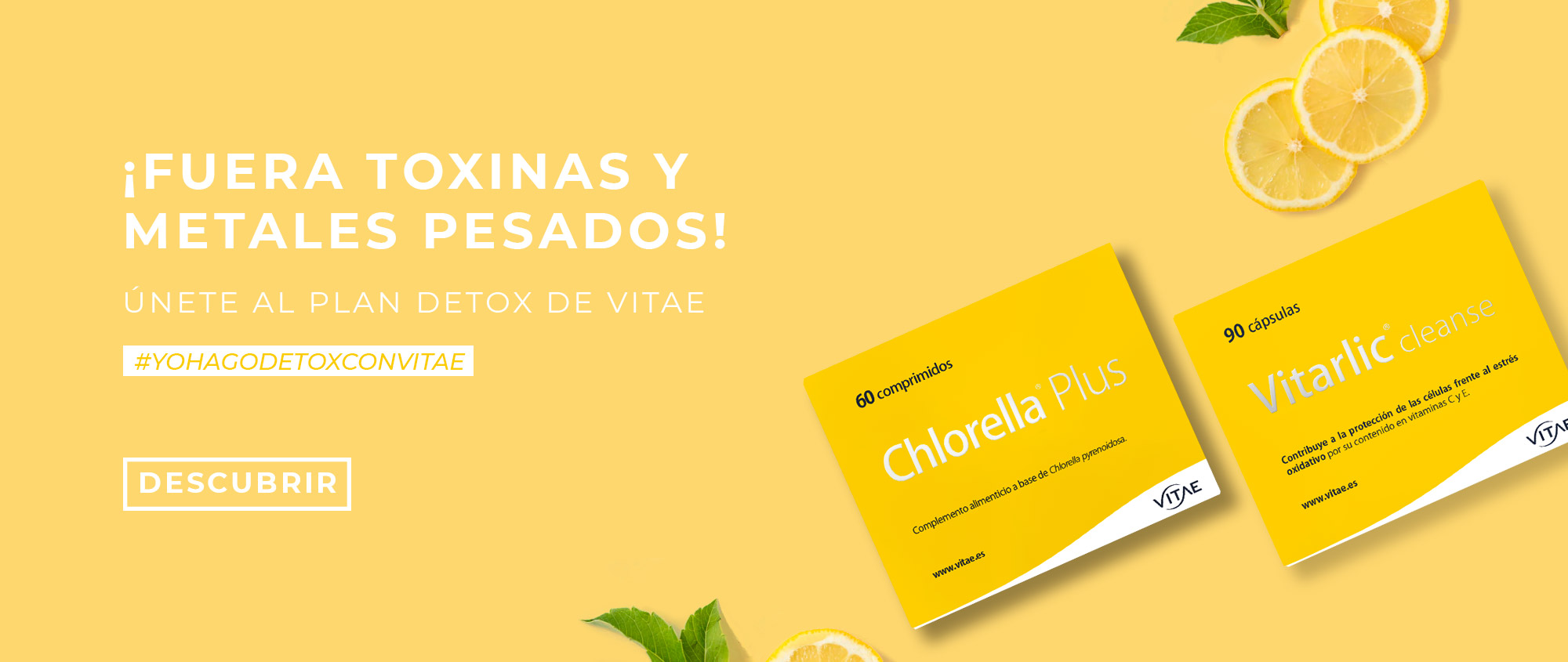 Plan Detox Vitae