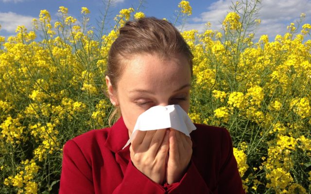 IMMUNOMODULATION AND ALLERGIES